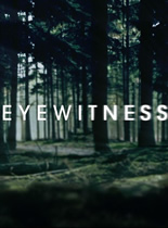 目击者/目击证人 第一季