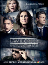 法律与秩序特殊受害者 第十八季