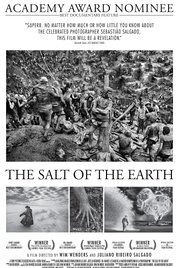 地球之盐